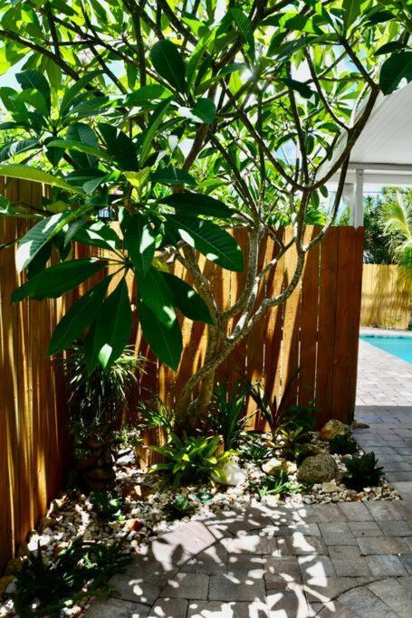 Tropical Retreat Near Beaches, Cruise Terminals Merritt Island Екстер'єр фото